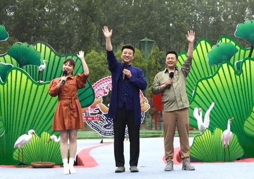 临沂三观爆料事件视频最新,揭秘背后真相与争议